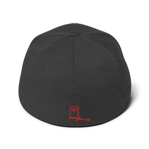 Choose Forgiveness. - Flexfit Structured Twill Cap